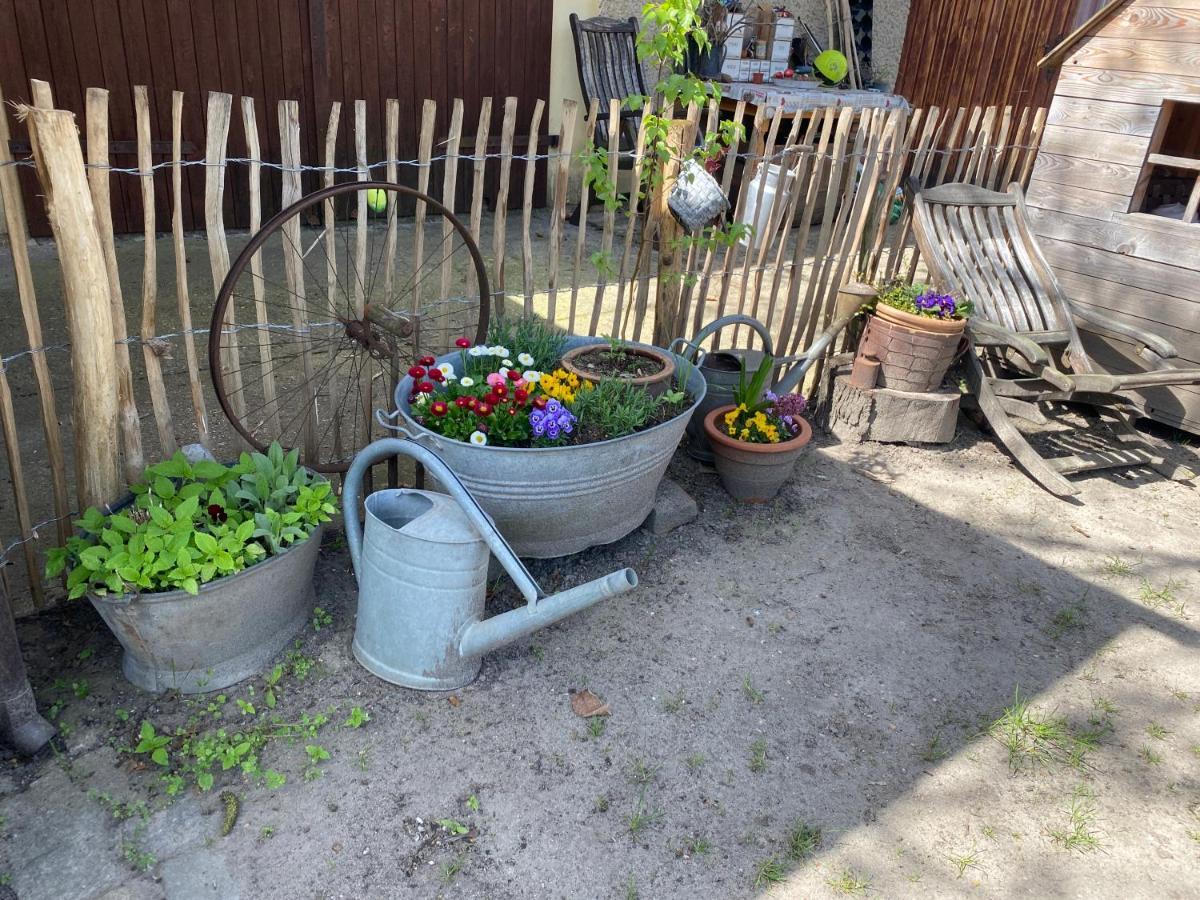 Walnusshof Schmogrow