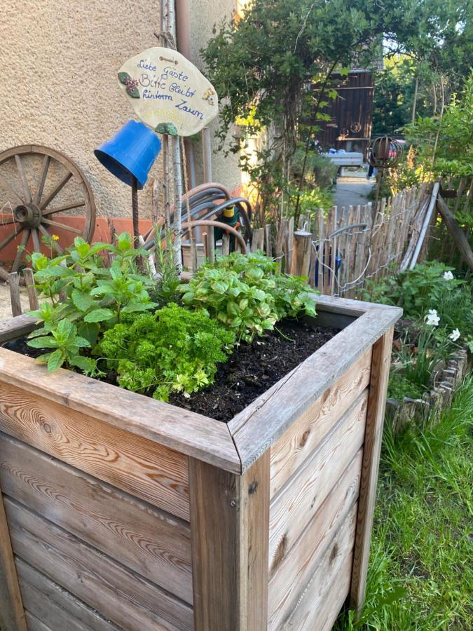 Walnusshof Schmogrow