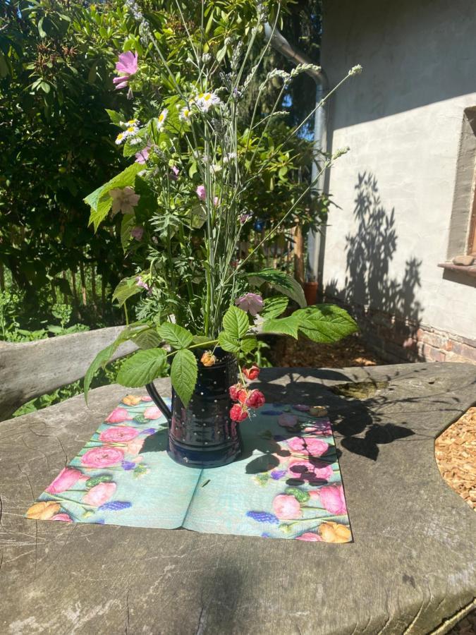 Lejlighed Walnusshof Schmogrow