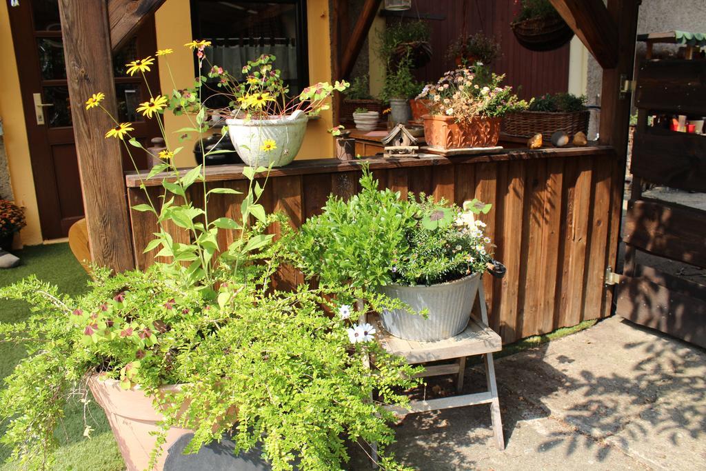 Apartment Walnusshof Schmogrow