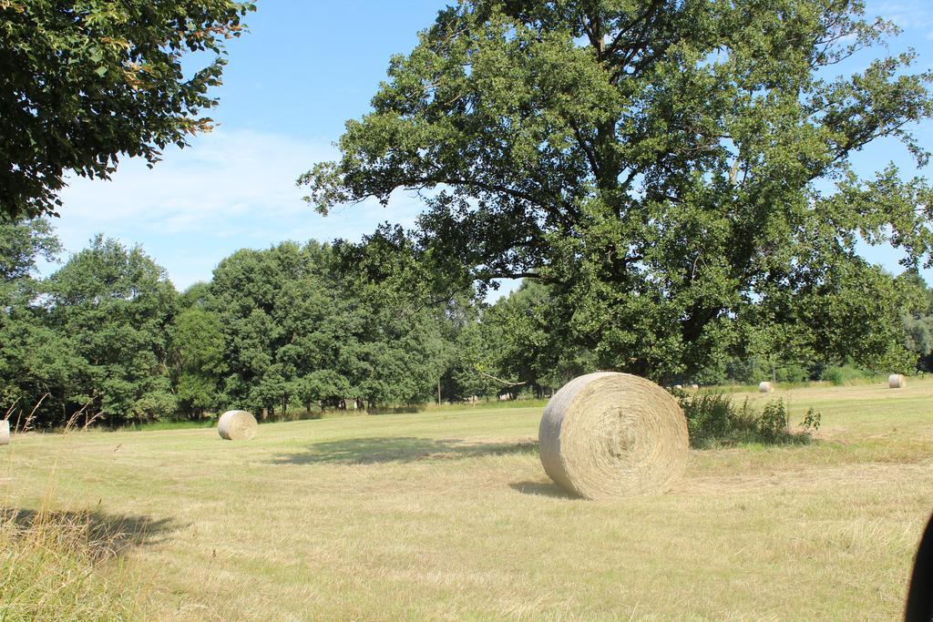 Lejlighed Walnusshof