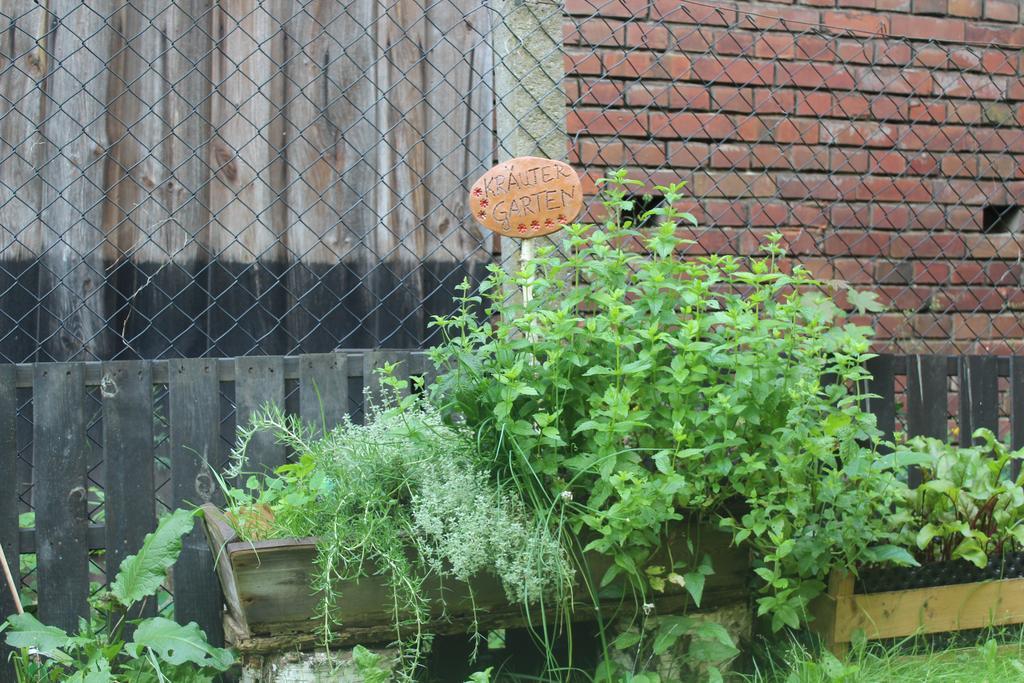 Apartment Walnusshof Schmogrow